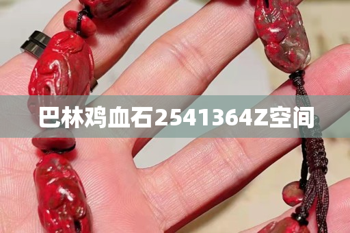 巴林鸡血石2541364Z空间