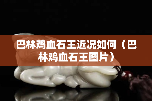 巴林鸡血石王近况如何（巴林鸡血石王图片）