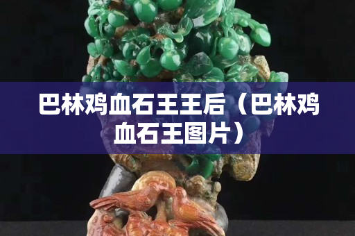巴林鸡血石王王后（巴林鸡血石王图片）