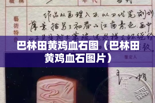 巴林田黄鸡血石图（巴林田黄鸡血石图片）