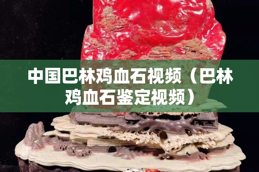 中国巴林鸡血石视频（巴林鸡血石鉴定视频）