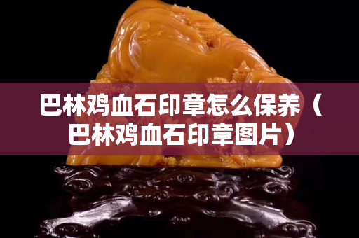 巴林鸡血石印章怎么保养（巴林鸡血石印章图片）