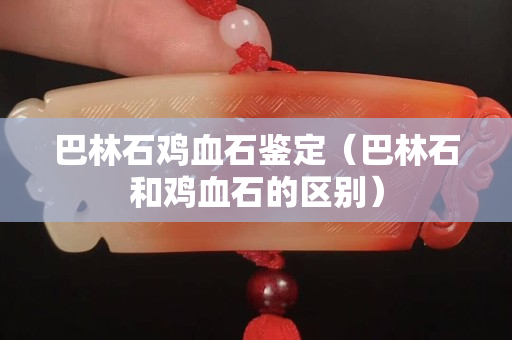 巴林石鸡血石鉴定（巴林石和鸡血石的区别）