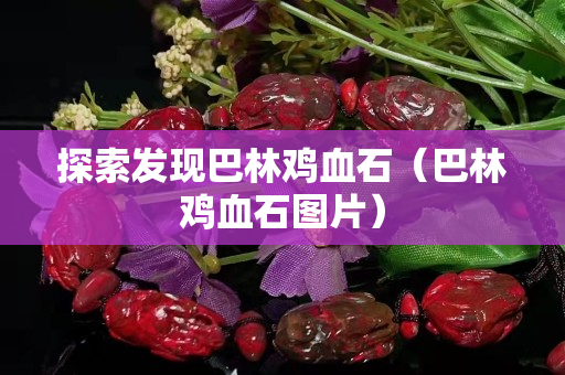 探索发现巴林鸡血石（巴林鸡血石图片）