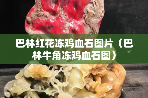 巴林红花冻鸡血石图片（巴林牛角冻鸡血石图）