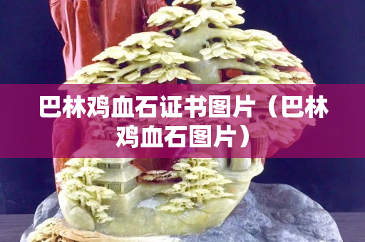 巴林鸡血石证书图片（巴林鸡血石图片）