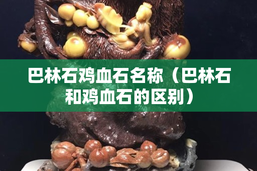 巴林石鸡血石名称（巴林石和鸡血石的区别）