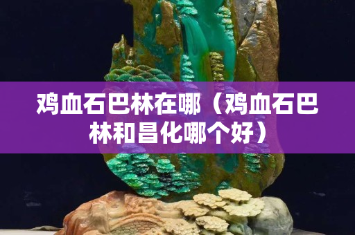 鸡血石巴林在哪（鸡血石巴林和昌化哪个好）