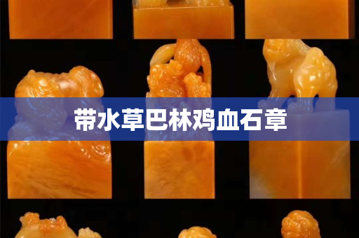 带水草巴林鸡血石章