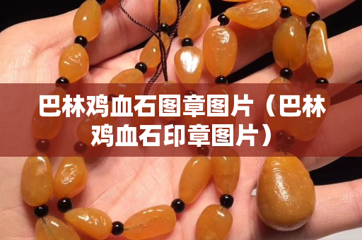 巴林鸡血石图章图片（巴林鸡血石印章图片）