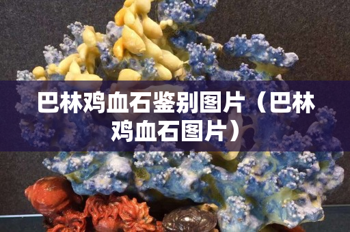 巴林鸡血石鉴别图片（巴林鸡血石图片）
