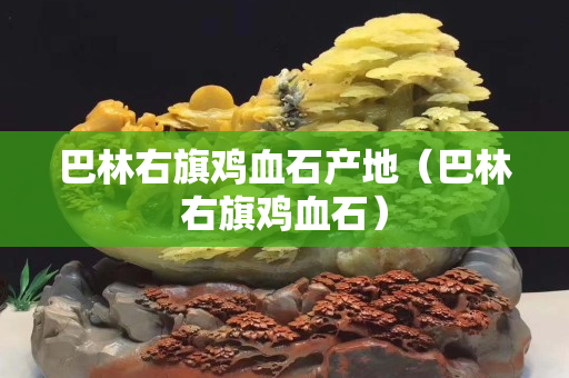 巴林右旗鸡血石产地（巴林右旗鸡血石）