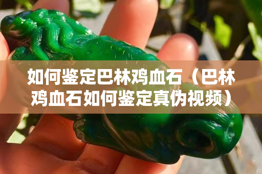 如何鉴定巴林鸡血石（巴林鸡血石如何鉴定真伪视频）