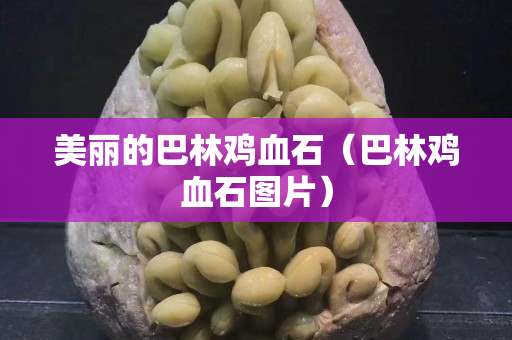美丽的巴林鸡血石（巴林鸡血石图片）