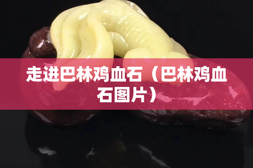 走进巴林鸡血石（巴林鸡血石图片）