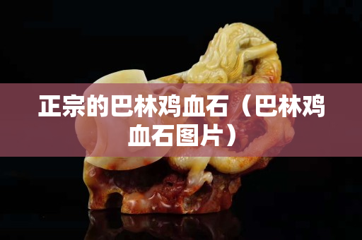 正宗的巴林鸡血石（巴林鸡血石图片）