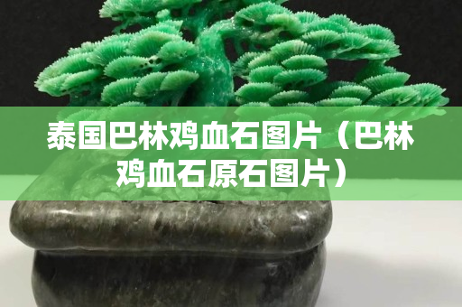 泰国巴林鸡血石图片（巴林鸡血石原石图片）