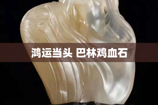 鸿运当头 巴林鸡血石