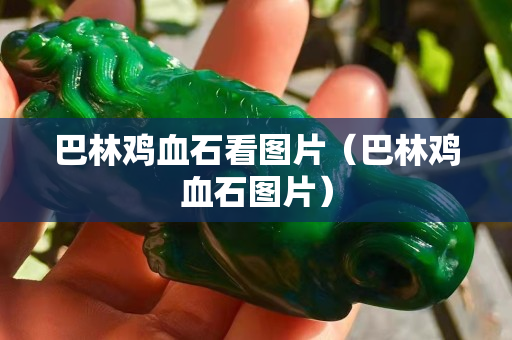 巴林鸡血石看图片（巴林鸡血石图片）