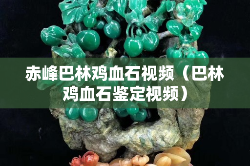 赤峰巴林鸡血石视频（巴林鸡血石鉴定视频）