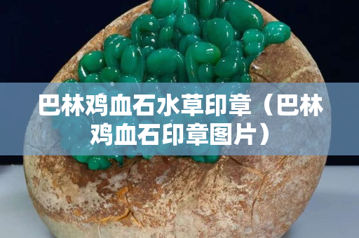 巴林鸡血石水草印章（巴林鸡血石印章图片）