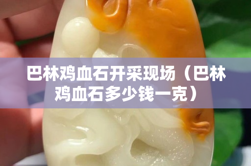 巴林鸡血石开采现场（巴林鸡血石多少钱一克）