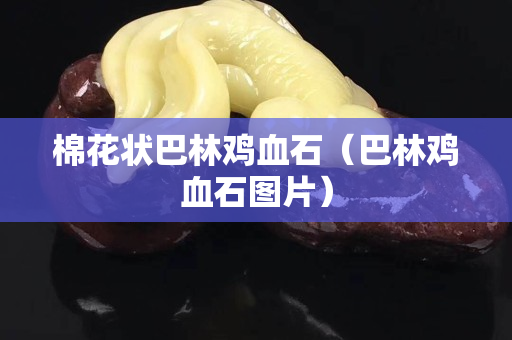 棉花状巴林鸡血石（巴林鸡血石图片）
