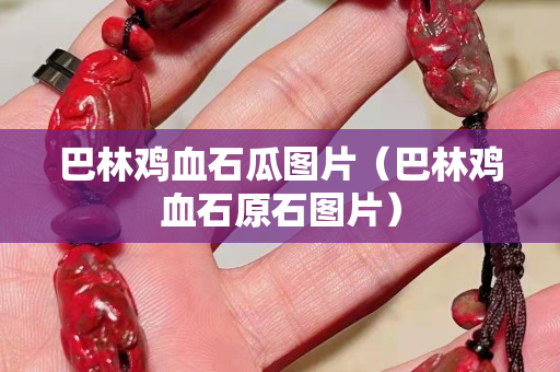 巴林鸡血石瓜图片（巴林鸡血石原石图片）