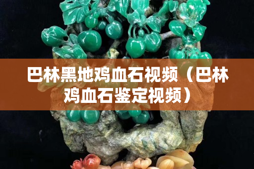 巴林黑地鸡血石视频（巴林鸡血石鉴定视频）
