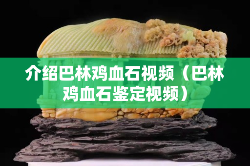 介绍巴林鸡血石视频（巴林鸡血石鉴定视频）