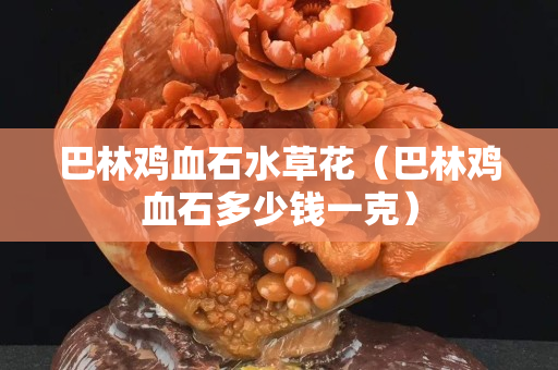 巴林鸡血石水草花（巴林鸡血石多少钱一克）