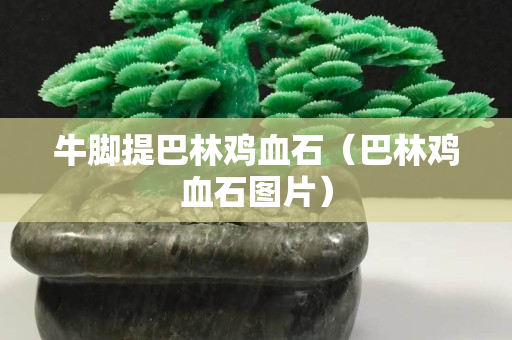 牛脚提巴林鸡血石（巴林鸡血石图片）