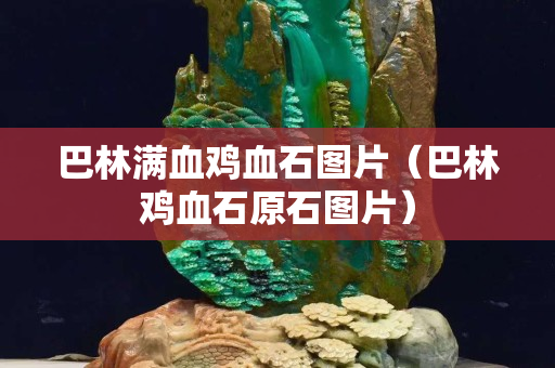 巴林满血鸡血石图片（巴林鸡血石原石图片）