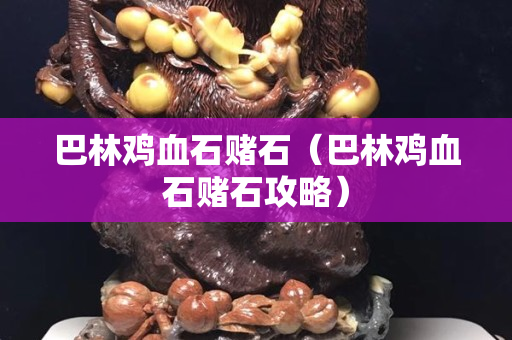 巴林鸡血石赌石（巴林鸡血石赌石攻略）