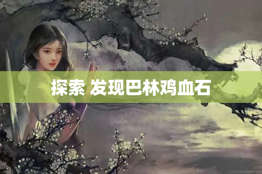 探索 发现巴林鸡血石