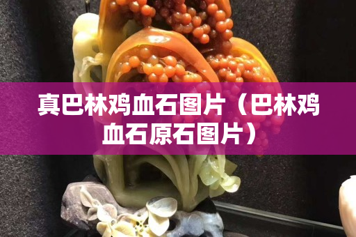 真巴林鸡血石图片（巴林鸡血石原石图片）