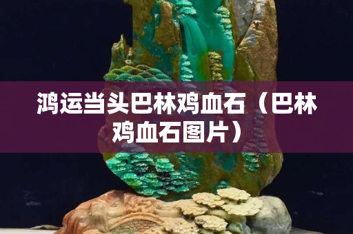 鸿运当头巴林鸡血石（巴林鸡血石图片）