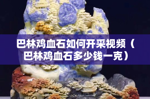 巴林鸡血石如何开采视频（巴林鸡血石多少钱一克）