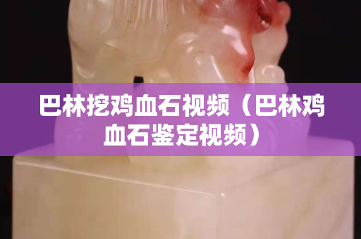 巴林挖鸡血石视频（巴林鸡血石鉴定视频）