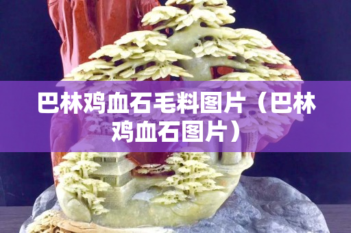 巴林鸡血石毛料图片（巴林鸡血石图片）