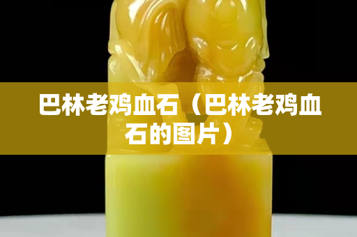 巴林老鸡血石（巴林老鸡血石的图片）