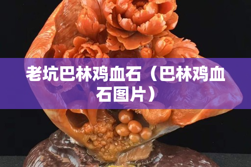 老坑巴林鸡血石（巴林鸡血石图片）