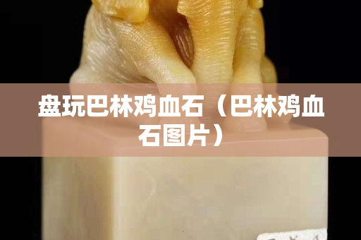 盘玩巴林鸡血石（巴林鸡血石图片）
