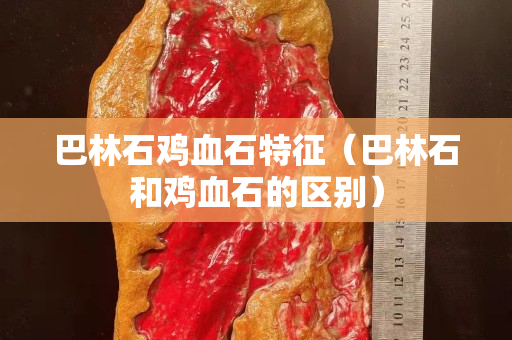 巴林石鸡血石特征（巴林石和鸡血石的区别）