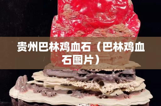 贵州巴林鸡血石（巴林鸡血石图片）