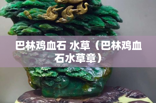 巴林鸡血石 水草（巴林鸡血石水草章）