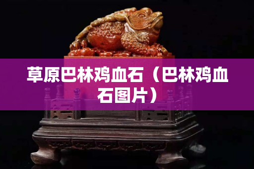 草原巴林鸡血石（巴林鸡血石图片）