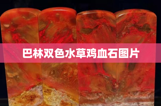 巴林双色水草鸡血石图片
