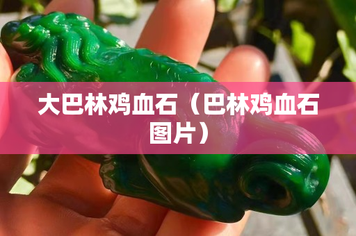 大巴林鸡血石（巴林鸡血石图片）