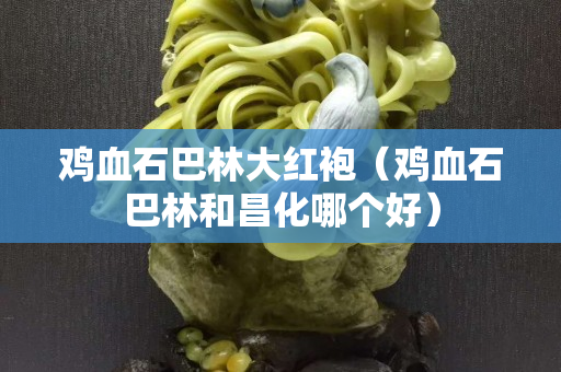 鸡血石巴林大红袍（鸡血石巴林和昌化哪个好）